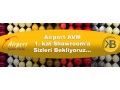 airport avm
